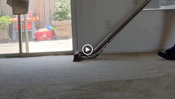 Clean Scene Carpet Cleaning