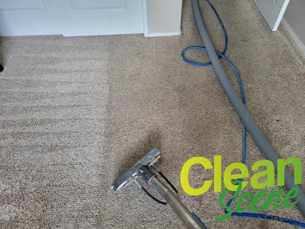 Clean Scene Carpet Cleaning