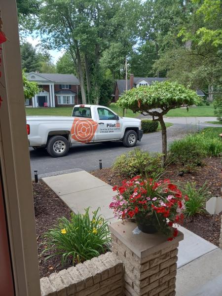 Pilot Termite & Pest Control