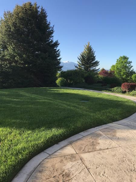 Ferta-Lawn