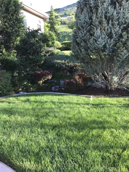Ferta-Lawn