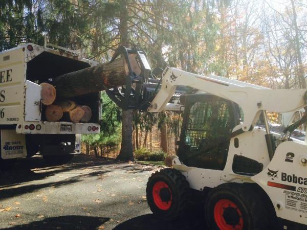 Keil Tree Experts Inc
