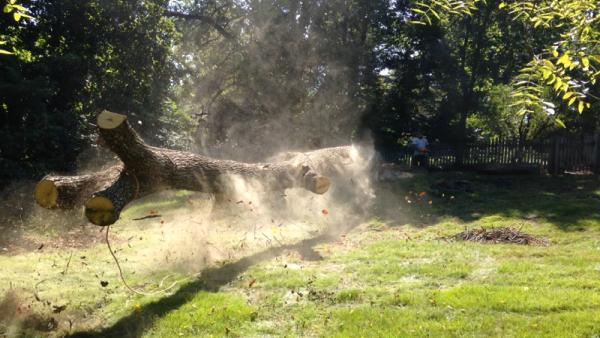 Keil Tree Experts Inc