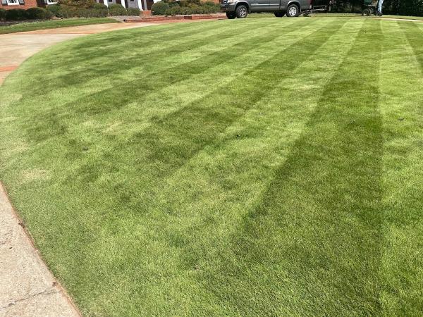 Elite Turf Lawn Care