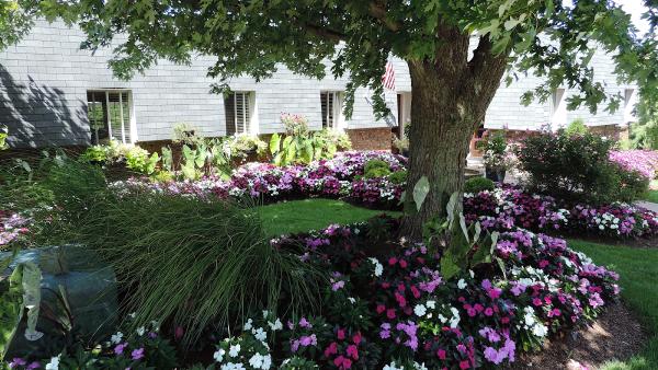 Chip's Landscaping Inc