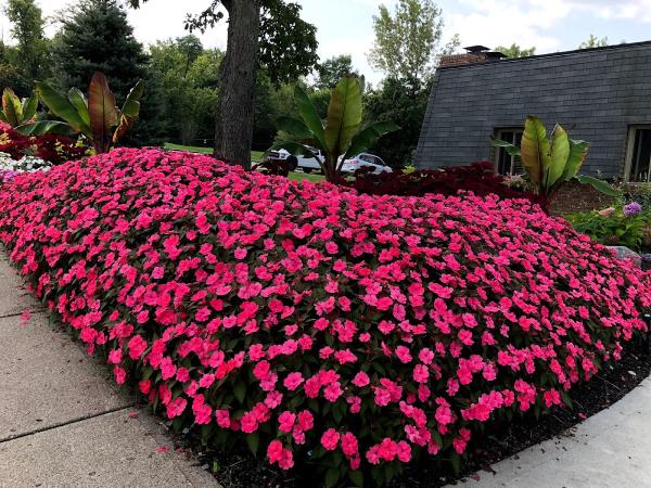 Chip's Landscaping Inc