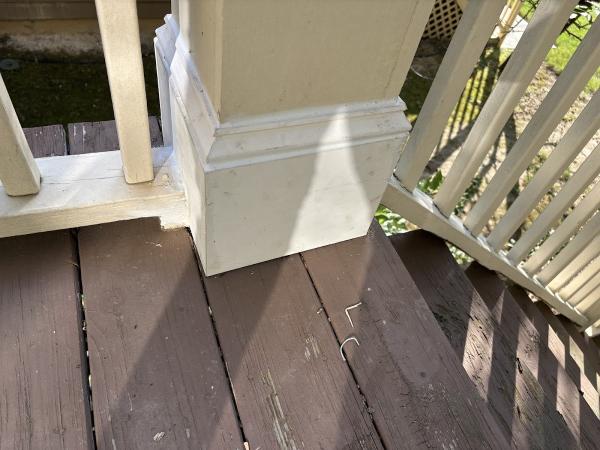 Pedro Painting LLC