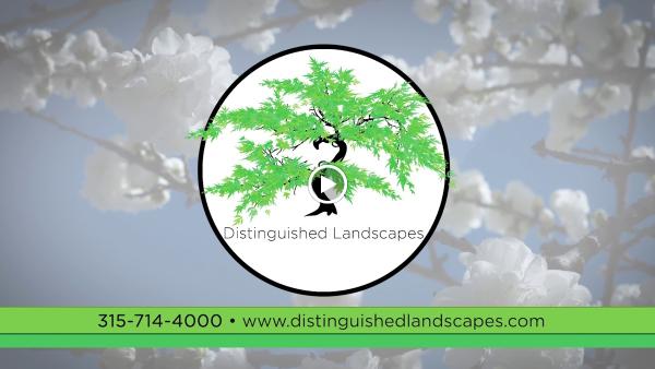 Distinguished Landscapes