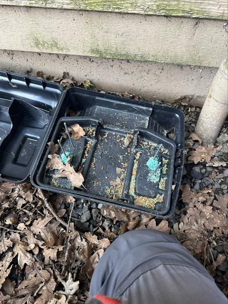 Banish Pest Control