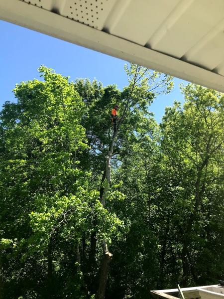 Hard Knot Tree Service Inc.