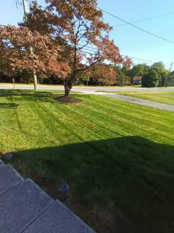 Santos Landscaping Service LLC