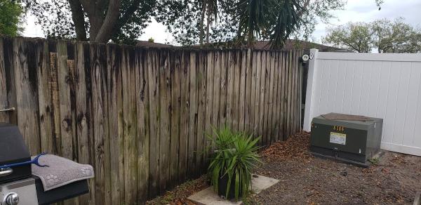 Caribbean Pressure Washing & Junk Removal Services