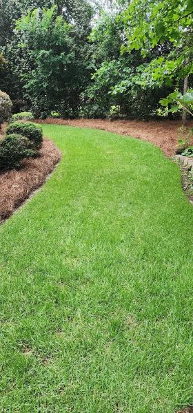 Home Pro Lawn Services