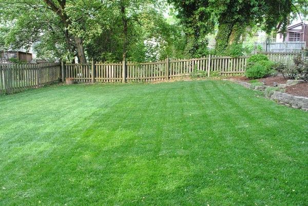 MSA Landscaping