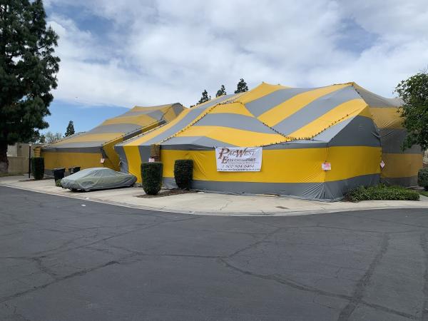 Pacwest Exterminators