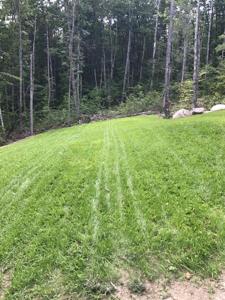 Flaggship Landscaping