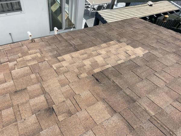 Dynasty Roofing Concepts