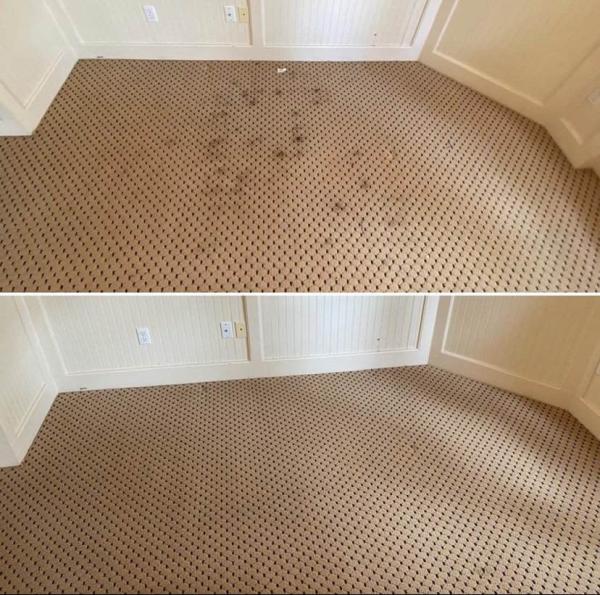 Grout and Carpet Wizards