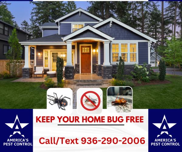 America's Pest Control
