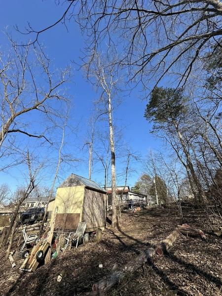 Dave's Tree and Stump Service
