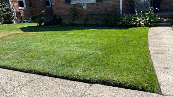Laser Lawn Care