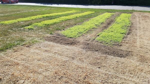 Good Nature Organic Lawn Care