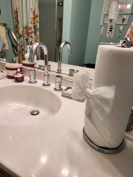 Divine Cleaning Service LLC