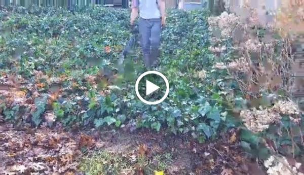 G&H Lawn Service