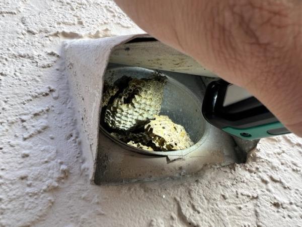 SBS Home Inspection