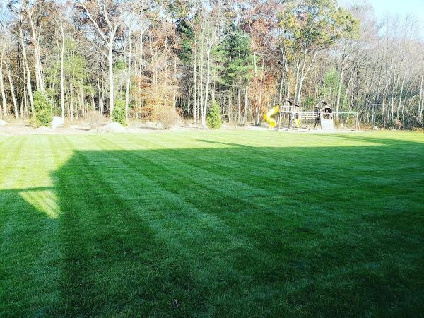 Lima's Landscaping & Irrigation
