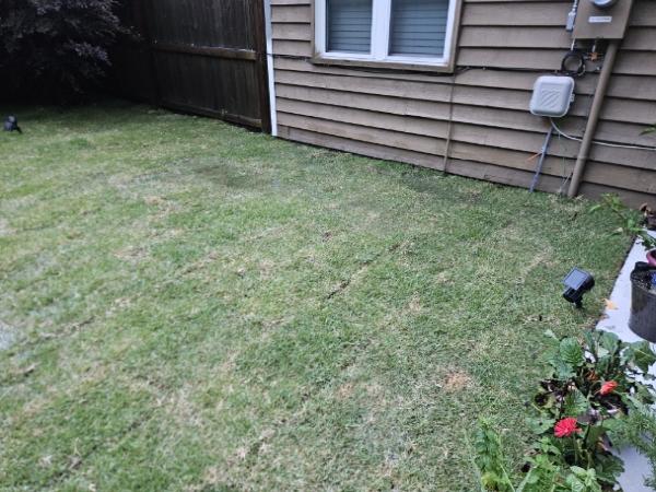 Bell's Landscaping Charleston