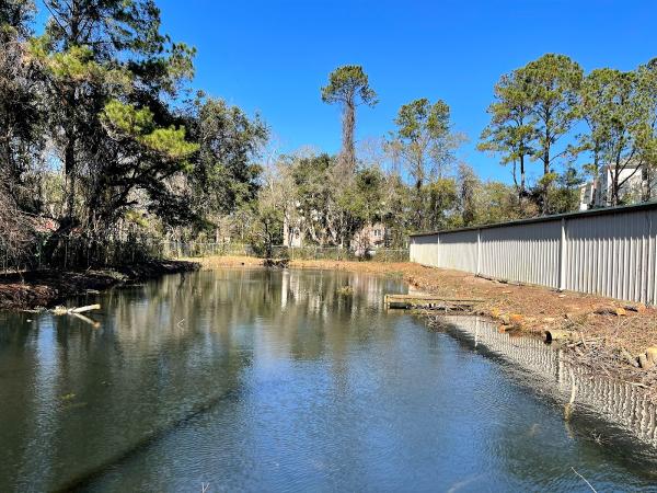 Bell's Landscaping Charleston