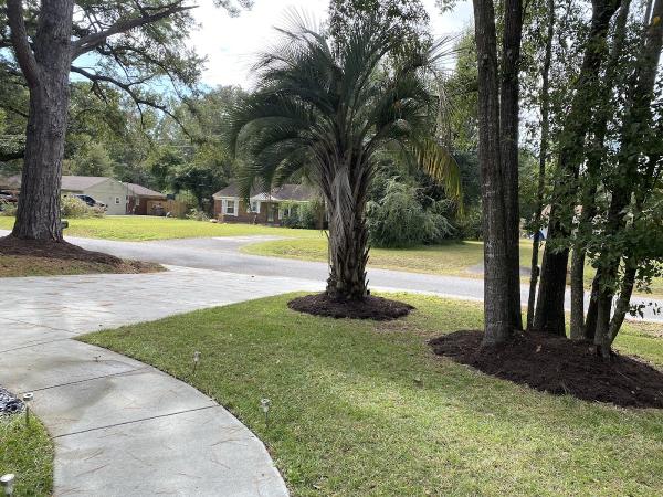 Bell's Landscaping Charleston