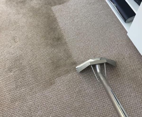 Rug Shine Rug & Carpet Cleaning