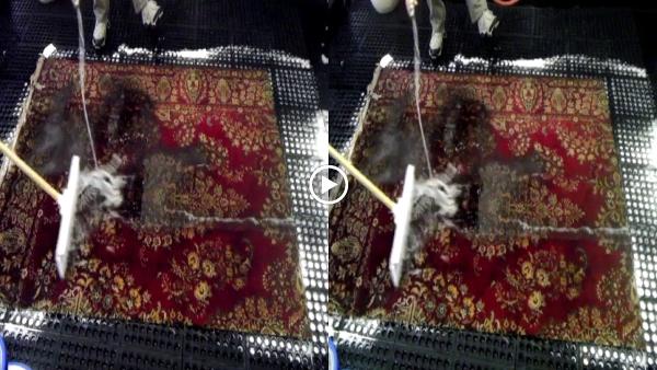 Rug Shine Rug & Carpet Cleaning