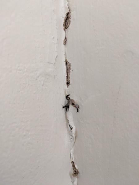 Bales Termite & Pest Control