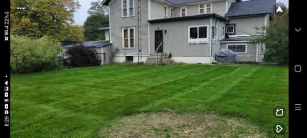 Green Lawns Matter