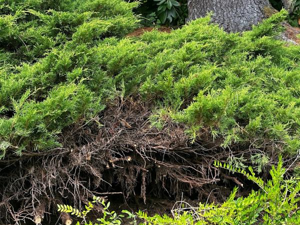 Parkview Landscaping