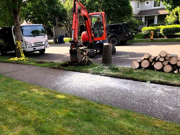 Parkview Landscaping