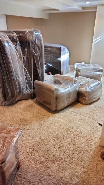 Top Dog Movers