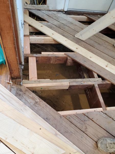Hardwood Floor Specialist