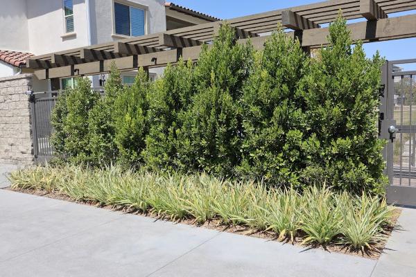 Inland Empire Landscape Inc.