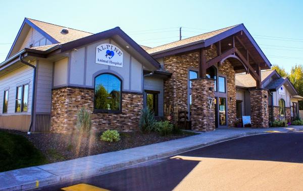 ML Architect & Associates
