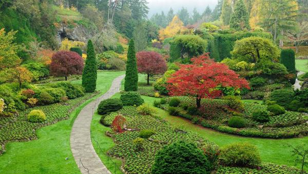 BCR Outdoor Services & Hardscapes LLC