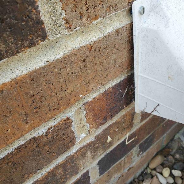 Cogent Pest Elimination
