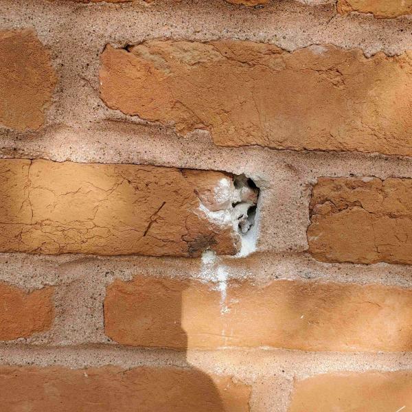 Cogent Pest Elimination