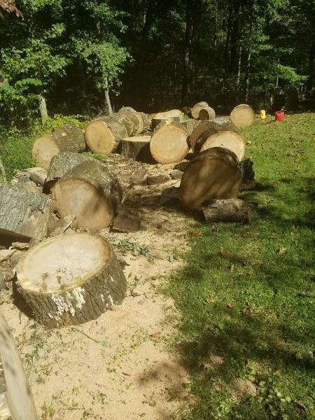 Douglas Tree Service