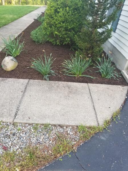 Douglas Tree Service