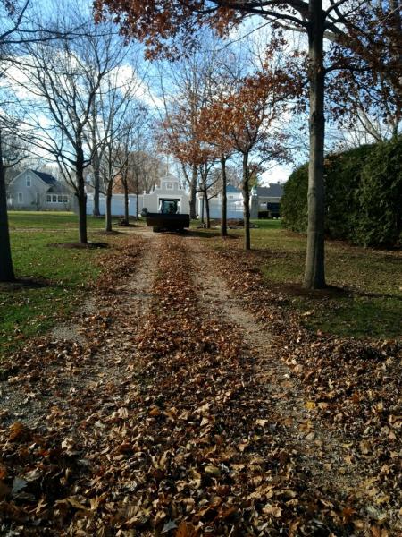 Reinhart Landscaping & Snow
