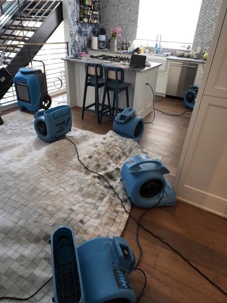 Water Damage Repair Tech